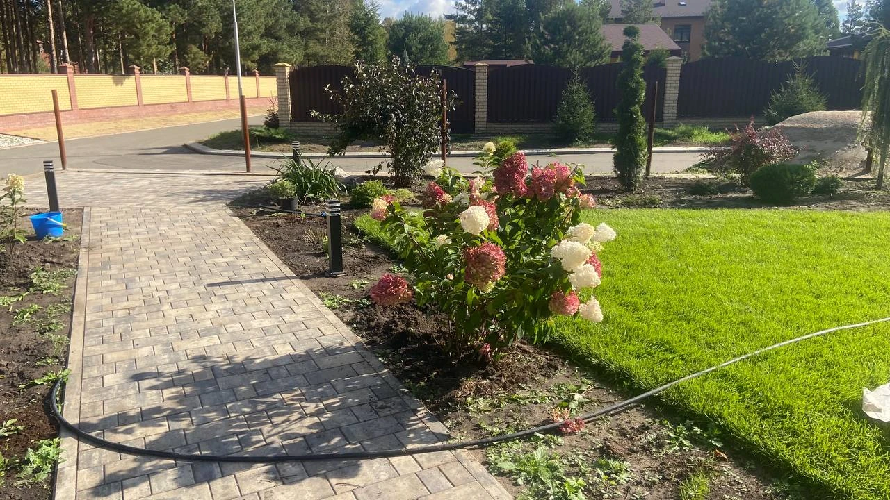 5343832081471051438.jpg 5343832081471051438.jpg