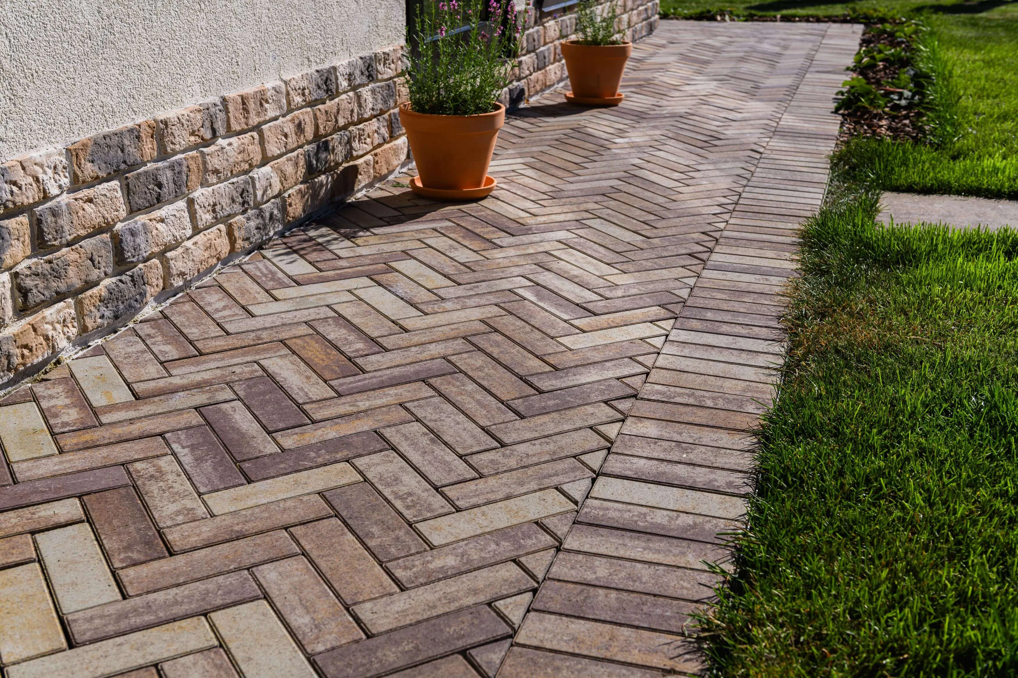 ESP_9553.jpg ESP_9553.jpg