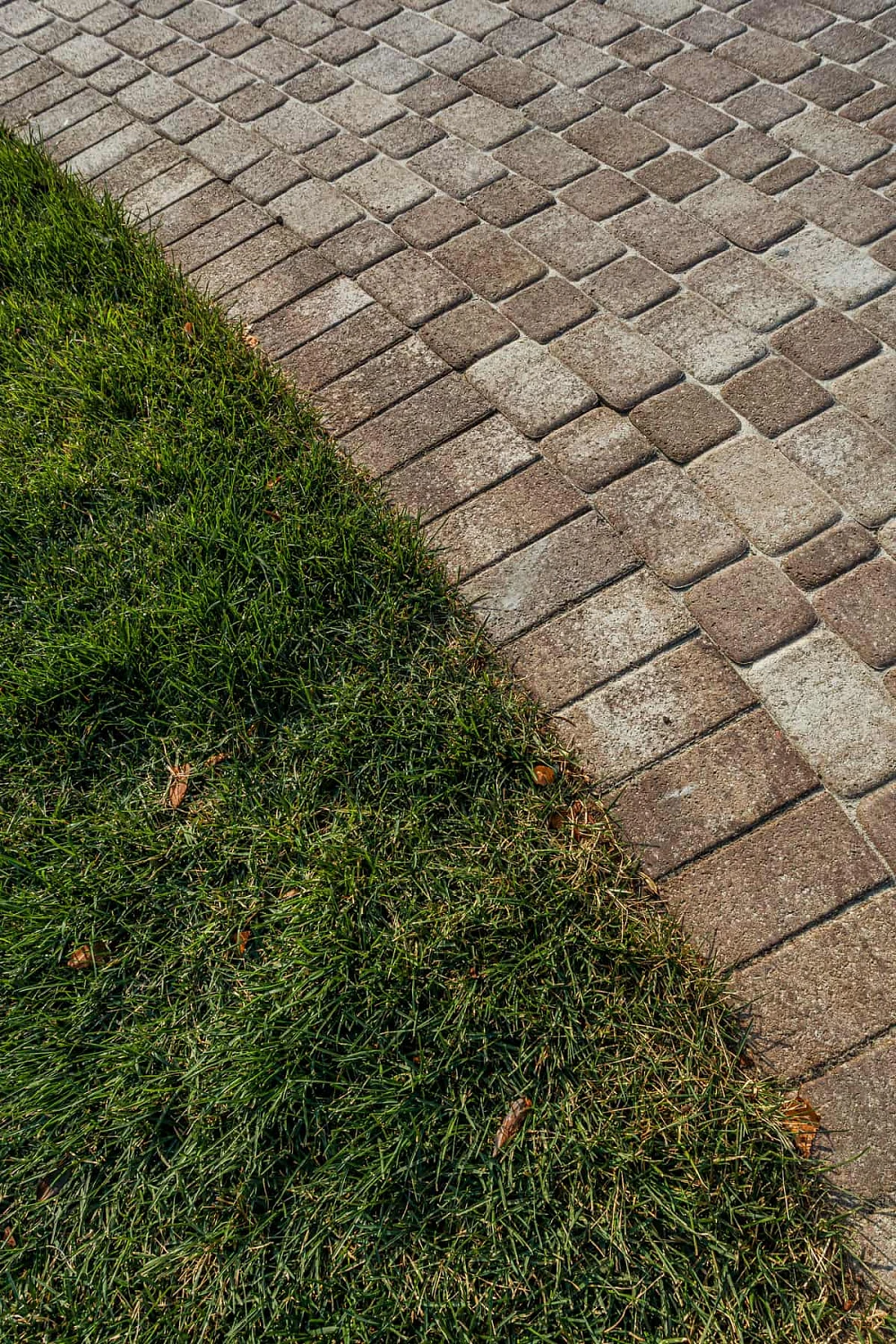 Ландшафтный дизайн под ключ: плитка Классико, Прямоугольник 100х200 и 300х600