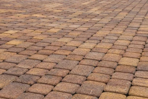 Тротуарная плитка Классико, цвет - гранит н/м листопад, осень