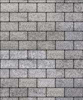 Тротуарная плитка Прямоугольник 200х100х60 мм, Шунгит Тротуарная плитка Прямоугольник 200х100х60 мм, Шунгит