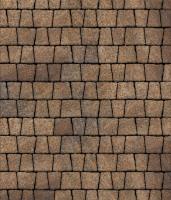 Тротуарная плитка Абрис, 60 мм, Клен Тротуарная плитка Абрис, 60 мм, Клен