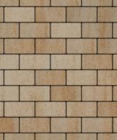 Тротуарная плитка Прямоугольник 200х100х40 мм, Степняк Тротуарная плитка Прямоугольник 200х100х40 мм, Степняк