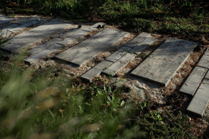 Купите прямоугольную тротуарную плитку от производителя «Выбор» Купите прямоугольную тротуарную плитку от производителя «Выбор»