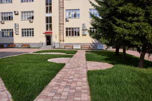 Тротуарная плитка Старый город Тротуарная плитка Старый город