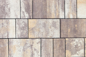 Купите тротуарную плитку Б.1.Фсм.6 - Доломит (бело-бежево-темнокоричневый) Купите тротуарную плитку Б.1.Фсм.6 - Доломит (бело-бежево-темнокоричневый)