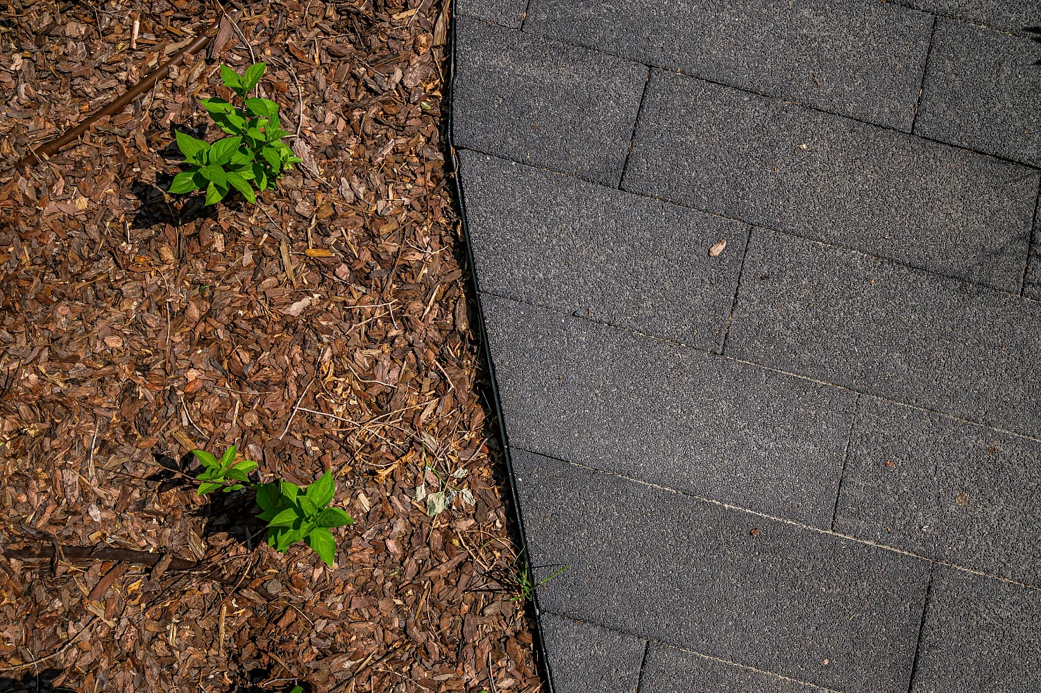 Сквер с историей географов открыли по улице Дзержинского в Тюмени